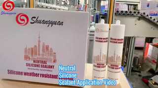 Neutral Silicone Sealant Application Video